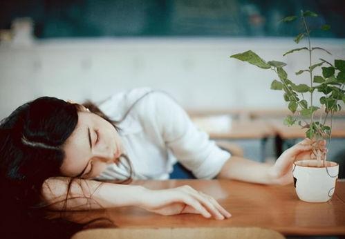 娱乐吃瓜酱 爱如火,娱乐吃瓜酱带你揭秘娱乐圈激情故事
