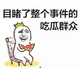 娱乐吃瓜君鸭,揭秘娱乐圈那些不为人知的幕后故事
