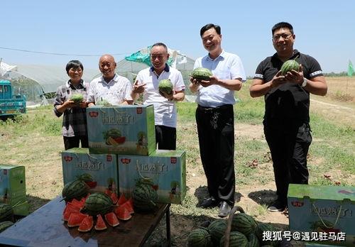 朱百万夫妇娱乐吃瓜酱,揭秘娱乐圈背后的甜蜜与苦涩
